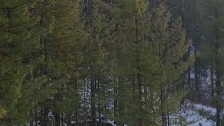 Holiday apartments, Bhurban