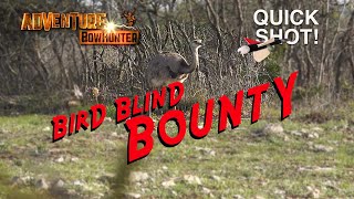 BIRD BLIND BOUNTY - QUICK SHOT!