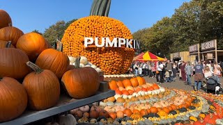 AMAZING Halloween Event At Strawberry Fields, Lifton, Devon! 🎃 👻 | Braving A Devon Pasty! 🥟