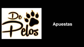 06 De Pelos Apuestas