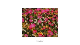 The Wldlfe - Real Estate (Official Audio)