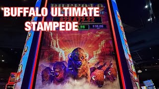 Buffalo Ultimate Stampede & Bao Zhu Zhao Fu Ignite Slots🤞🍀🍀🍀