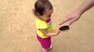 Elli Petting goats at the San Antonio zoo