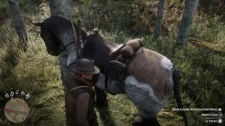 Red Dead Redemption 2_20181102220115