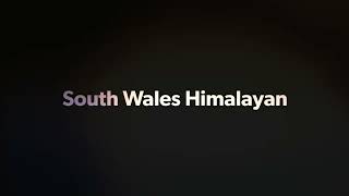 Royal Enfield Himalayan Unclassified Road SS8081-03 Kenfig Pool Unclassified Road.