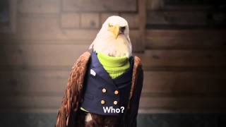 Freedom Video 7 8 14 V5