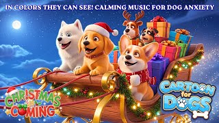 Christmas Dog Cartoon in Colors They Can See! 💤🐶 Anti-Separation Anxiety TV for Dogs | DOG TV