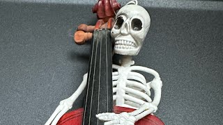 How to hold a cello示範正確大提琴坐姿 by Amy Chang張式明