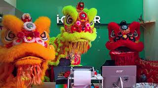 3 Lion Dance - A dynamic display of tradition, courage, and festive blessings. 🦁