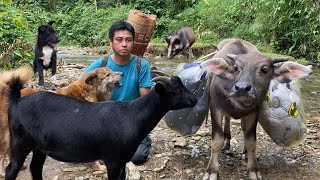 The man and his pet went to the town market to buy many things for their new home.