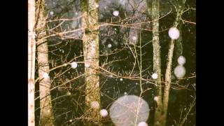 German Error Message - After the Warmth (Full Album)