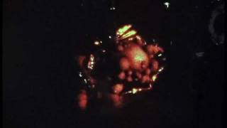 Genesis Museum present: Genesis - Auditorium Theater Rochester, New York - 17 December 1974.mp4
