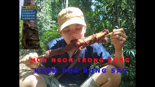 Delicious grilled beef and pork ribs in the woods - thịt bò và sườn lợn nướng thơm ngon trong rừng