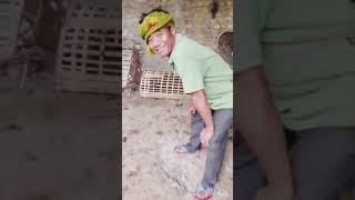 Duck 🦆 and Hen 🐔 Farming,  #Village_life.