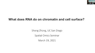 What does RNA do on chromatin and cell surface? (Speaker: Sheng Zhong, UC San Diego)