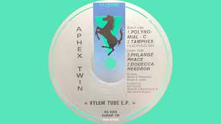 Aphex Twin – Polynomial-C.