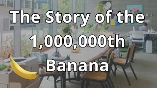 Bananas for All - A Reflection on the MIT Banana Lounge