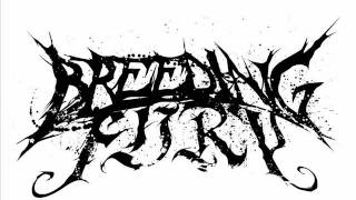 Breeding Fury - To Disgrace