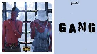 Boi Child (CJ Cypher X Davie Karr) - Gang