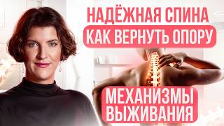 How to strengthen your back and relieve pain? A rehabilitation therapist's approach.