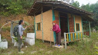 The girl came to help the frail old woman clean and renovate her dilapidated house into a warm home.