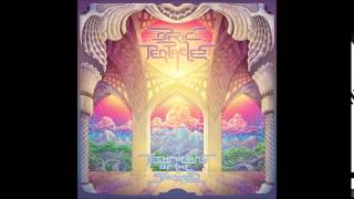 Technicians of the Sacred: An In Depth Interview With Ozric Tentacles