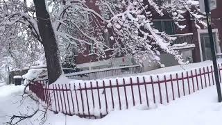Snow season