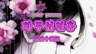 화무십일홍 Aster yomena_전초아(Jeonchoah)