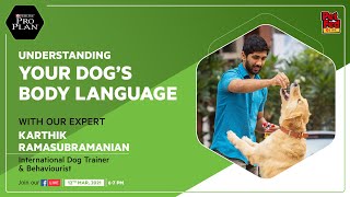 Understanding your Dog’s Body Language