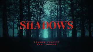 SHADOWS - Tommee Profitt x Sam Tinnesz