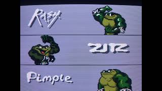 MiSTer Vs Original NIntendo. Battletoads Clinger-Winger. The Ultimate Lag Test