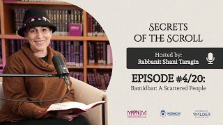 Episode 4 - Bamidbar: A Scattered People