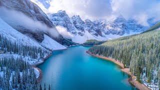 Beautiful Relaxing Music 🌿 Stress Relief, Stop Overthinking, Calming Music to Heal Mind, Body & Soul