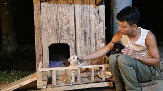 With Good Contruction skills CEO Trieu Phong Built a Small House for 2 Puppies - Companions.