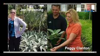Best IPM Practices for Piercing and Sucking Insects