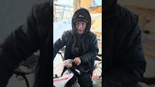 Plucking black duck for soup 