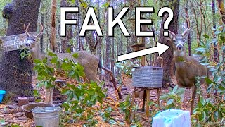 WHOA are these BUCKS REAL or CGI   ?