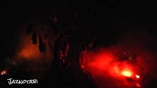 Suicide Forest (scare zone) - Halloween Horror Nights 6 at Universal Studios Singapore (2016)
