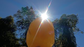 Alabama Rockhounding: AGATE, JASPER & Rose Quartz Finds! | Artesian Spring Adventure (E1)