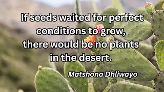 Quote In Song Series #53 | Timeless Wisdom About Life & Nature | Wisdom Turned Into Music