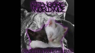 KITTENGORE WORLDWIDE- GrindKitty In Your Rotten Brain (Goregrind/Noise)