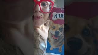 Cats Who Think They Are Dogs