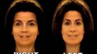 Vintage Alkistis (2007) The 2 brain hemispheres