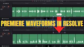 How to Make DaVinci Resolve Audio Look Like Premiere Pro (Non-Rectified Waveform)