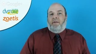 Capturing more cat clients: A dvm360 Google+ Hangout on Air