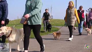 Pak Leader K9 Services Group Walk