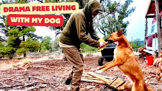 I Chose To Leave Society & Built a Calm, Off-Grid Life With NO DRAMA