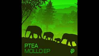 Ptea - Mollo Original mix