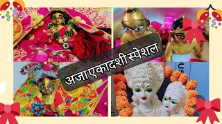 एकादशी पर मैंने अपने कान्हा जी की स्पेशल पूजा की #radhekrishna🙏