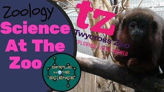 Zoology - Science At The Zoo (Twycross Zoo)